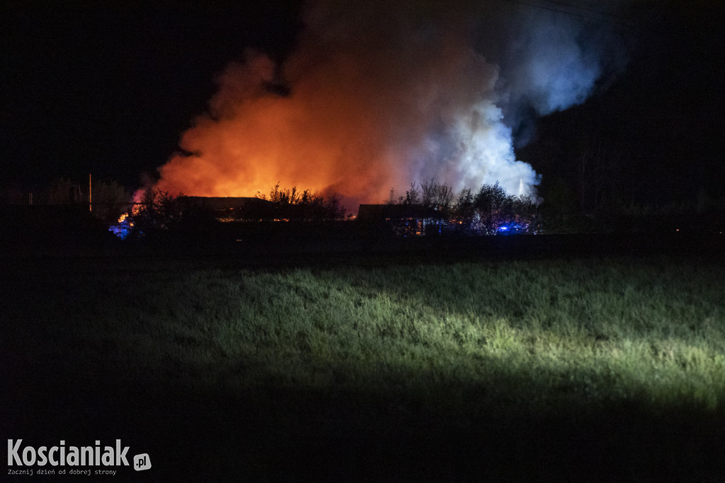 Duży pożar tartaku w Racocie