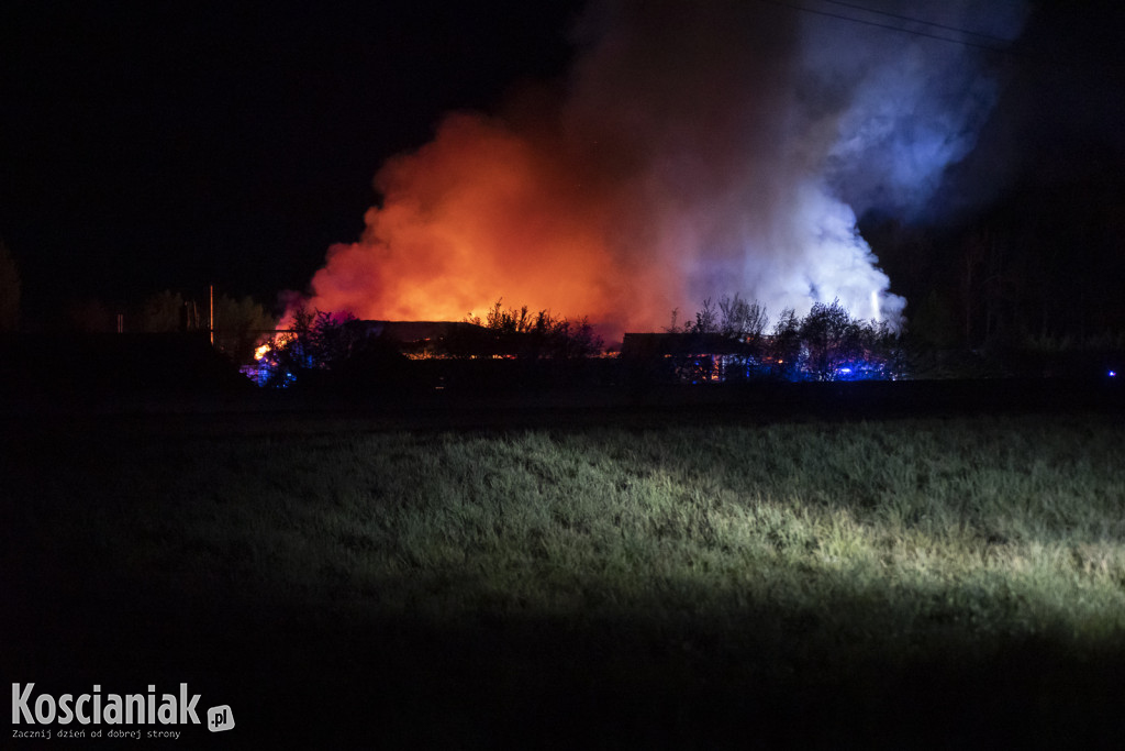 Duży pożar tartaku w Racocie