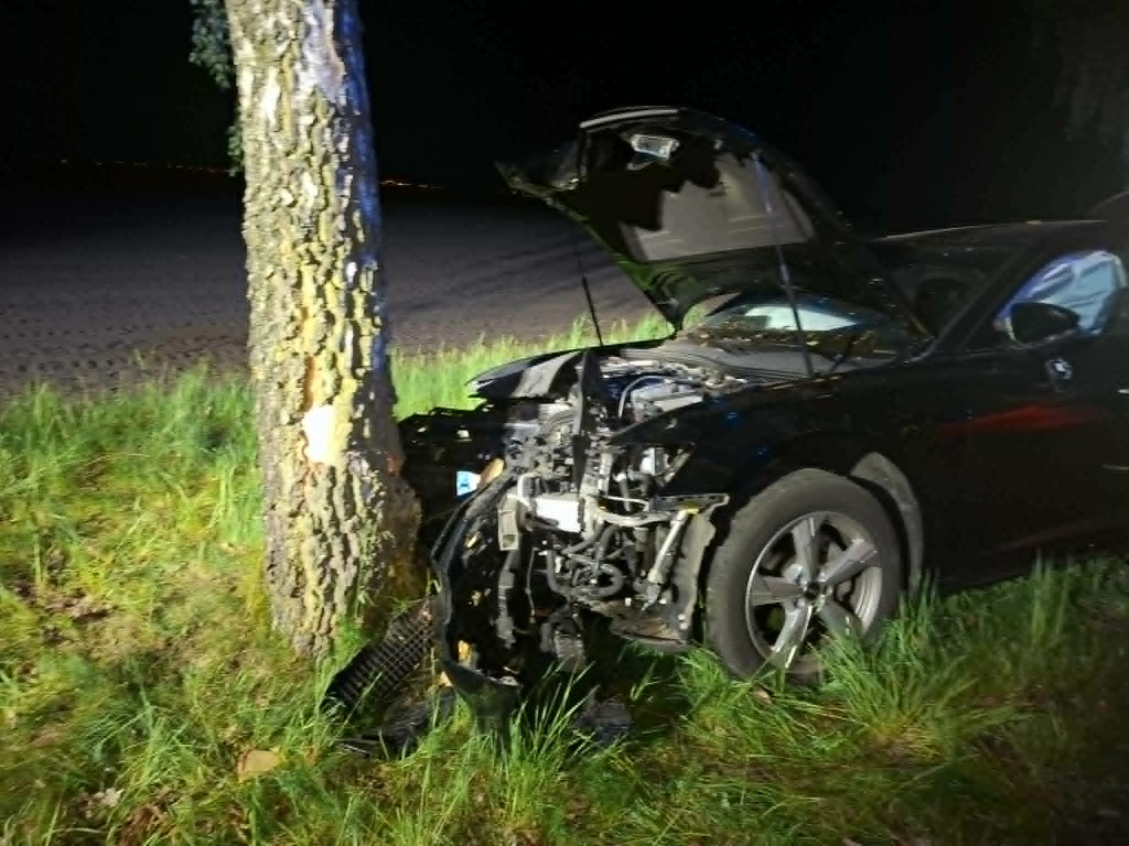 Uderzył w drzewo na drodze z Piotrowa Pierwszego