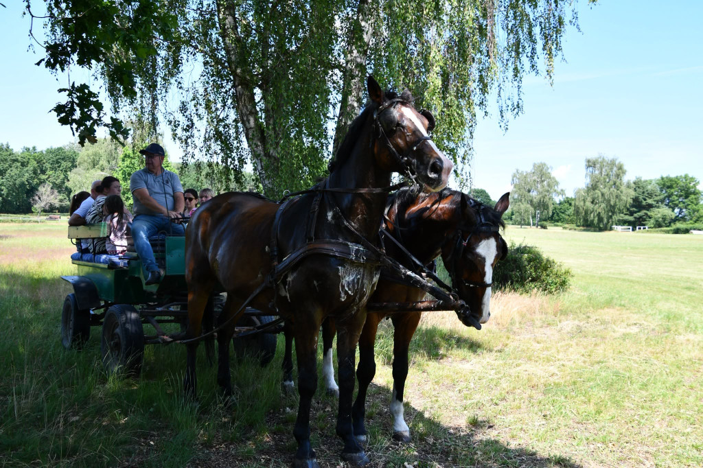 Powitanie lata z Powiatem Kościańskim