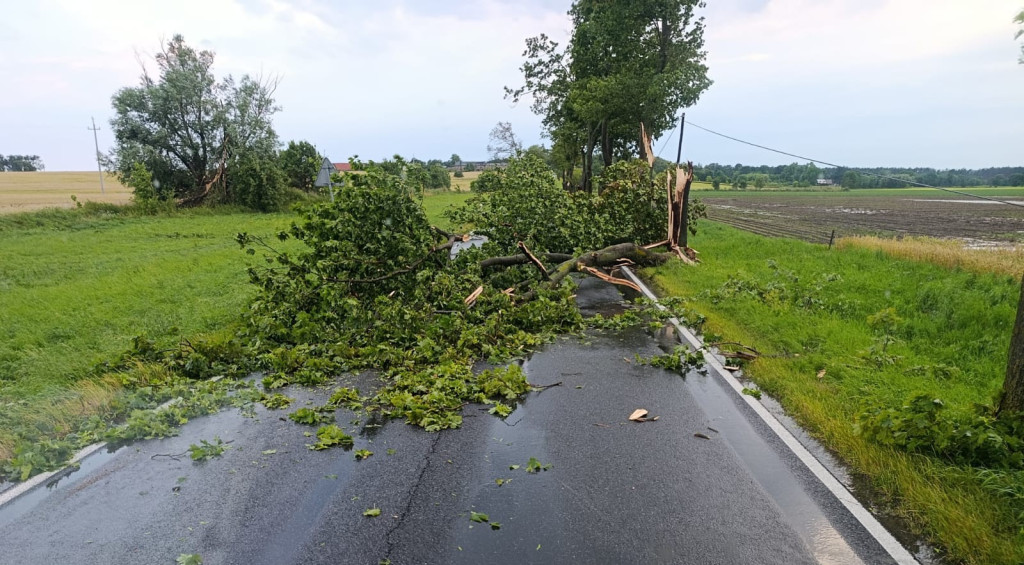 Blisko 30 interwencji strażaków w gminie Krzywiń