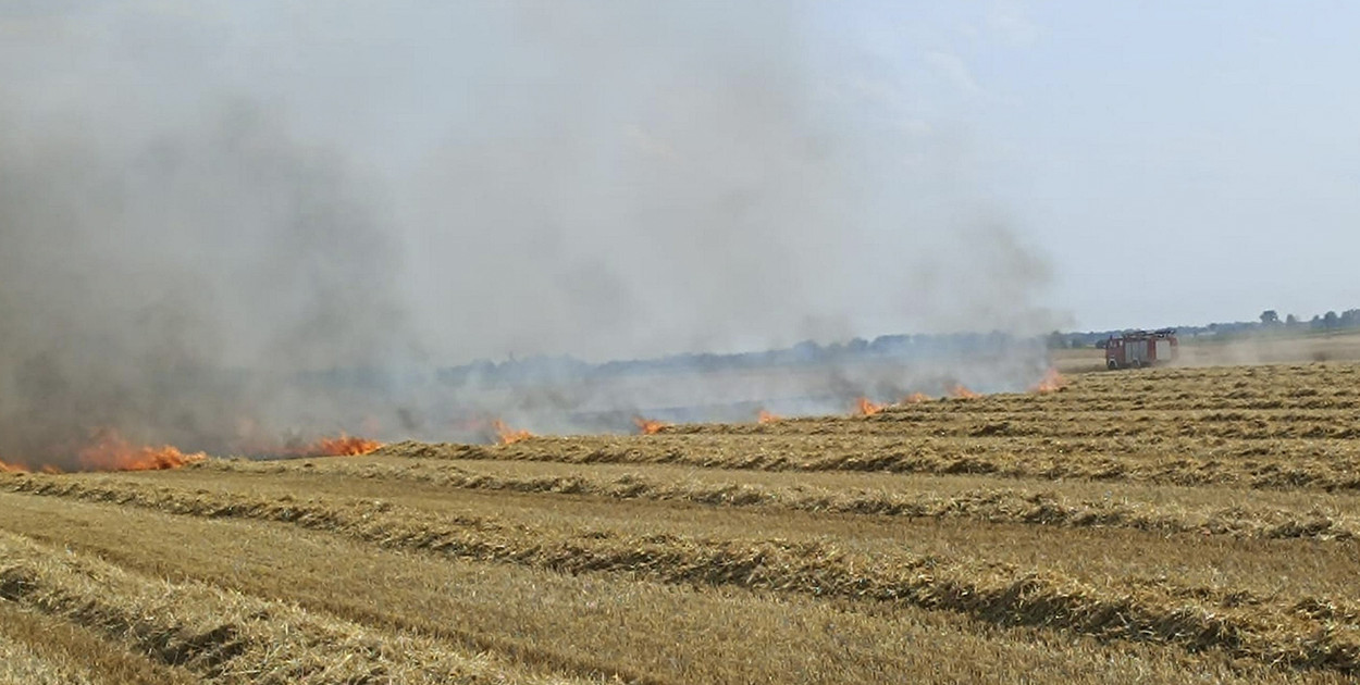 Pożar w Borowie 10 lipca (fot. PSP Kościan)
