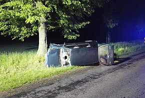 Zderzył się ze zwierzyną i uderzył w drzewo-87422