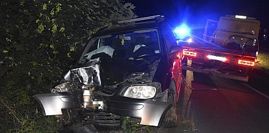Wjechał w drzewo. Był pijany [ZDJĘCIA]-87717