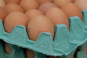 Salmonella na jajach znanej marki. Nie jedz, jeśli masz je w lodówce!-88078