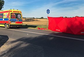 Śmiertelny wypadek w Starym Luboszu. Zginął rowerzysta [ZDJĘCIA]-88642