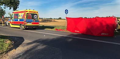 Śmiertelny wypadek w Starym Luboszu. Zginął rowerzysta [ZDJĘCIA]-88642