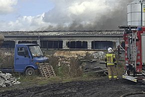 Pożar obory w Bruszczewie. Ewakuowano zwierzęta [ZDJĘCIA]-89160