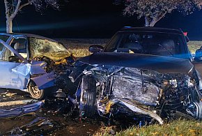 Śmiertelny wypadek pomiędzy Radomickiem a Lipnem [ZDJĘCIA]-89301