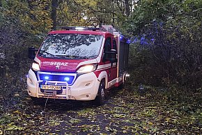 Osiem interwencji strażaków w związku z silnym wiatrem-89342