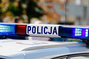 Seria zdarzeń drogowych przez zwierzynę leśną w jednym miejscu-89621