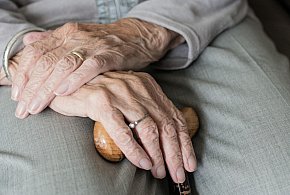 Te osoby dostaną dwie emerytury w grudniu. ZUS przesuwa przelewy-89727