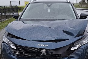 Potrącenie na przejściu dla pieszych. Kobieta trafiła do szpitala-89955