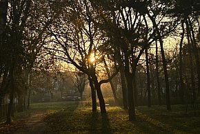 Nadchodzi najkrótszy dzień w 2025 roku. Sprawdź, kiedy przypadnie-90108