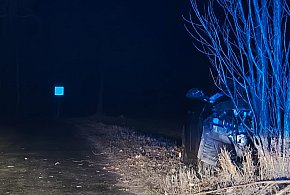 Uderzył w drzewo. Był kompletnie pijany-90184