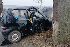 Za szybko jechał i uderzył w drzewo