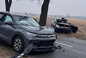 Dwa auta zderzyły się czołowo pomiędzy Gryżyną a Nowym Dębcem