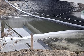 Nieznana substancja na kanale Obry w Kiełczewie