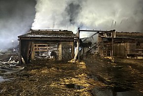 Duży pożar obory w Mościszkach. Gasiło go 57 strażaków [ZDJĘCIA]