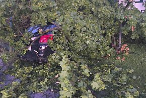 Połamane drzewa i uszkodzone samochody. Skutki silnych porywów wiatru