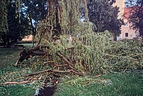 Gwałtowna burza w powiecie kościańskim. Ponad 100 interwencji [ZDJĘCIA]
