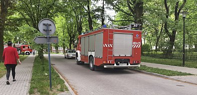 Alarm o bombie w „sanatorium”. Strażaków wezwała pacjentka-89163