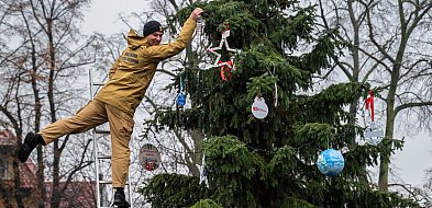Wspólne dekorowanie choinki w Kościanie [ZDJĘCIA, WIDEO]-89901