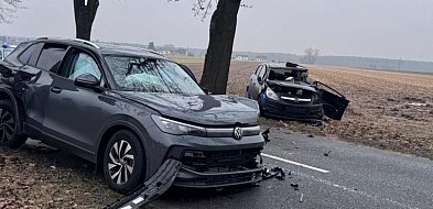 Dwa auta zderzyły się czołowo pomiędzy Gryżyną a Nowym Dębcem