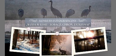 Otwarty konkurs fotograficzny Nadleśnictwa Kościan: „Woda w lesie”