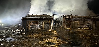 Duży pożar obory w Mościszkach. Gasiło go 57 strażaków [ZDJĘCIA]
