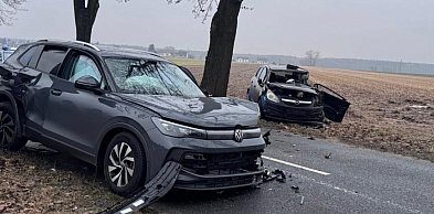 Dwa auta zderzyły się czołowo pomiędzy Gryżyną a Nowym Dębcem