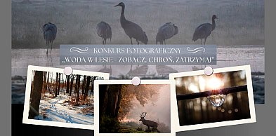 Otwarty konkurs fotograficzny Nadleśnictwa Kościan: „Woda w lesie”