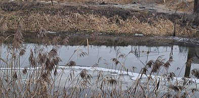 Ponownie oleista ciecz na kanale Obry