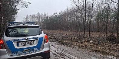 Niewybuch w lesie w Kurzej Górze