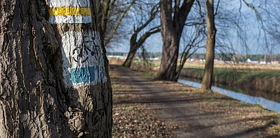 Kościański Trakt Rekreacyjny zostanie odnowiony i wydłużony!