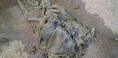 Mop w kanalizacji. Ktoś pomylił kanalizację ze śmietnikiem