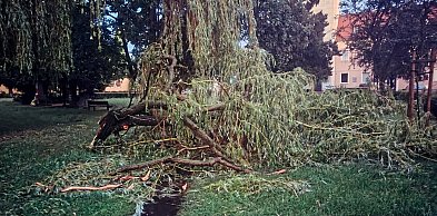 Gwałtowna burza w powiecie kościańskim. Ponad 100 interwencji [ZDJĘCIA]