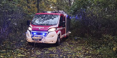 Osiem interwencji strażaków w związku z silnym wiatrem-89342