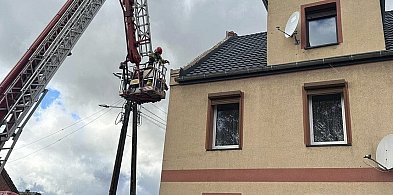Zerwany dach i powalone drzewa. Cztery zdarzenia w ciągu pół godziny-89387