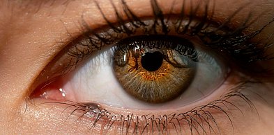 Budowa oka ludzkiego – poznaj najważniejsze elementy narządu wzroku-89492