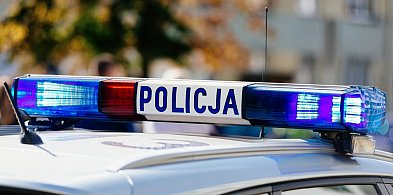 Seria zdarzeń drogowych przez zwierzynę leśną w jednym miejscu-89621