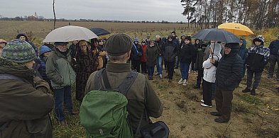 Polskie piramidy w Wyskoci. Ogromne zainteresowanie spotkaniem [ZDJĘCIA]-89615