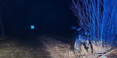 Uderzył w drzewo. Był kompletnie pijany-90184