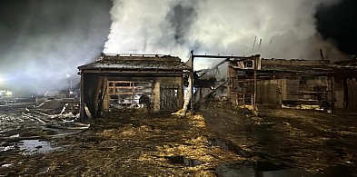 Duży pożar obory w Mościszkach. Gasiło go 57 strażaków [ZDJĘCIA]
