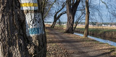 Kościański Trakt Rekreacyjny zostanie odnowiony i wydłużony! [Prima Aprillis]