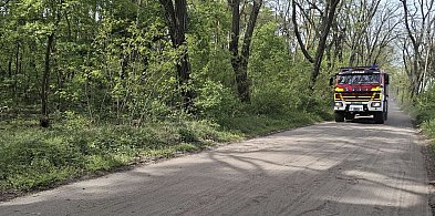 Zagrożenie pożarowe w lasach. Uważajmy podczas majówki!