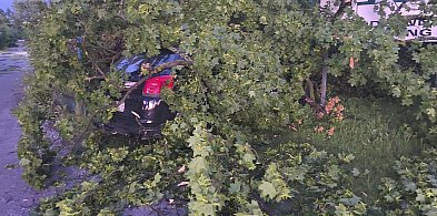 Połamane drzewa i uszkodzone samochody. Skutki silnych porywów wiatru