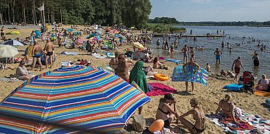 Darmowe busy na plażę w Nowym Dębcu od soboty