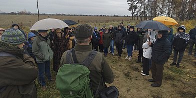 Polskie piramidy w Wyskoci. Ogromne zainteresowanie-89615
