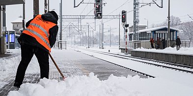 Pierwszy śnieg w tym sezonie [ZDJĘCIA, FILMY]-89745